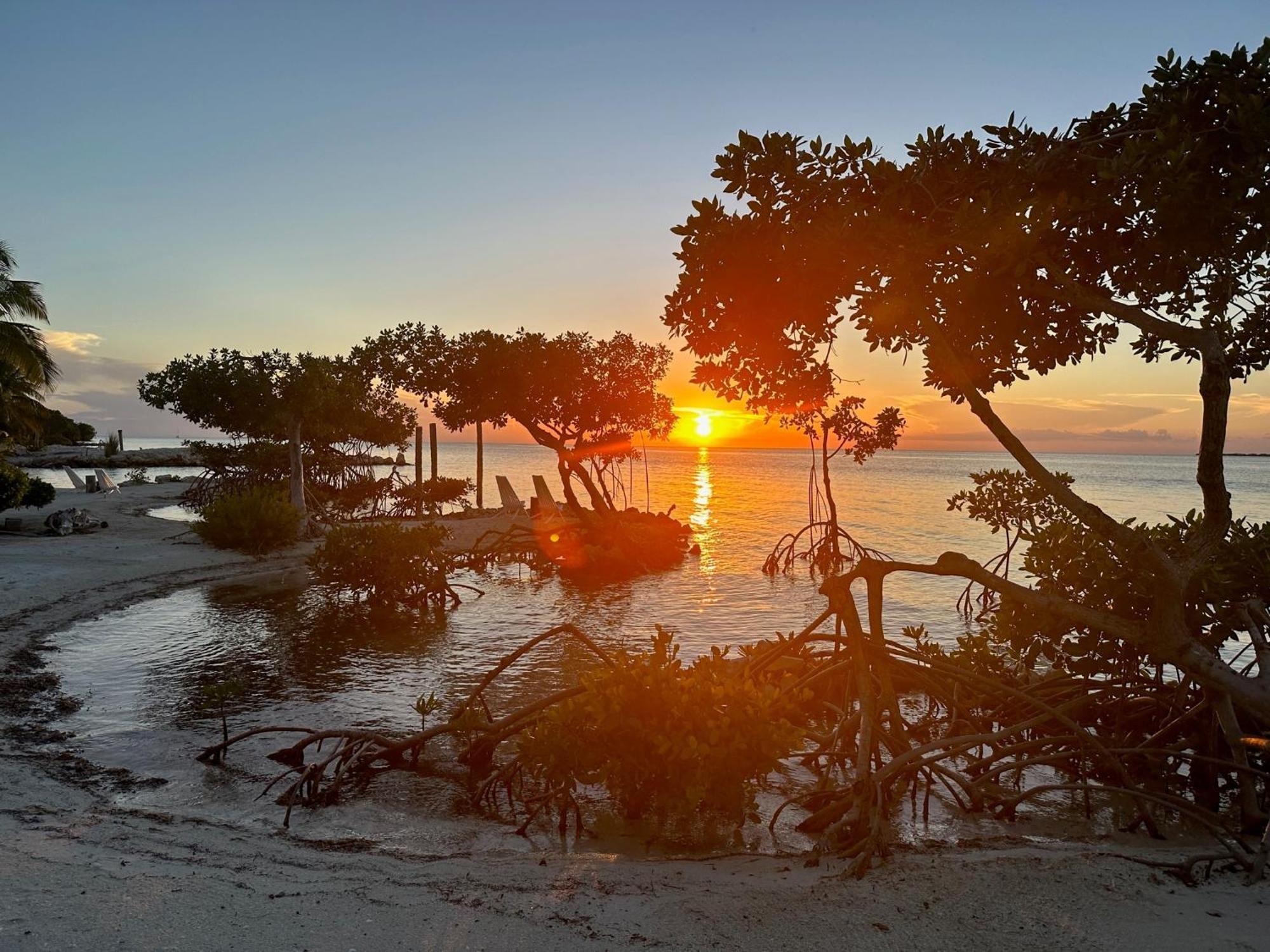 The Bounty Hotel Caye Caulker Luaran gambar